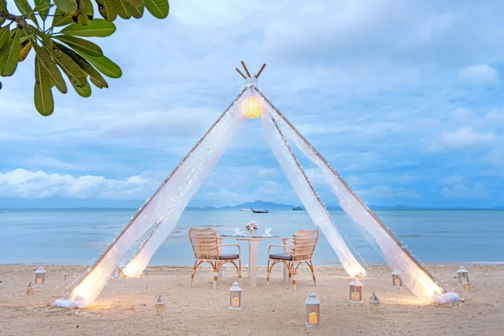 Dinner Under the Stars