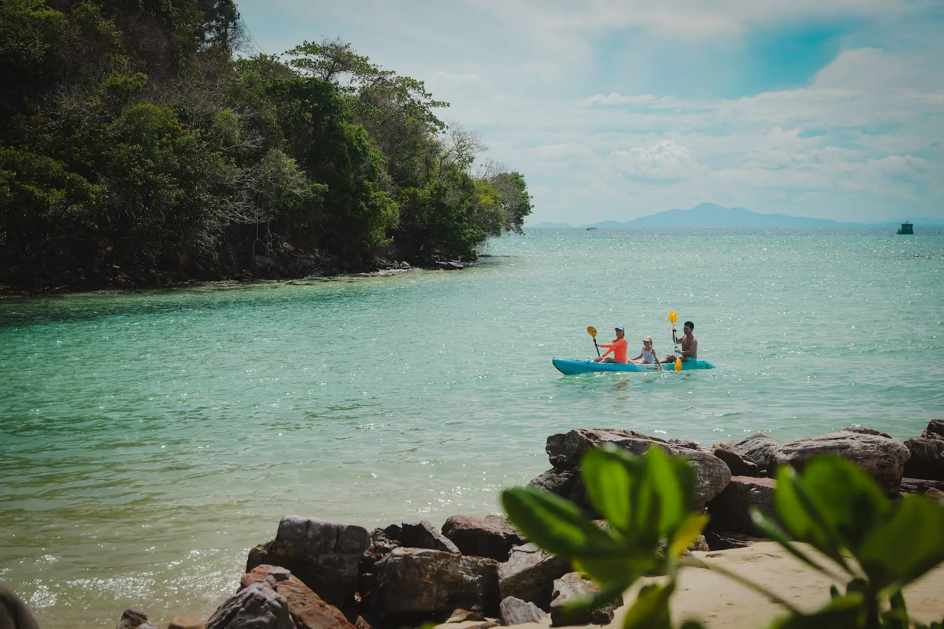 Kayak Mangrove Adventure