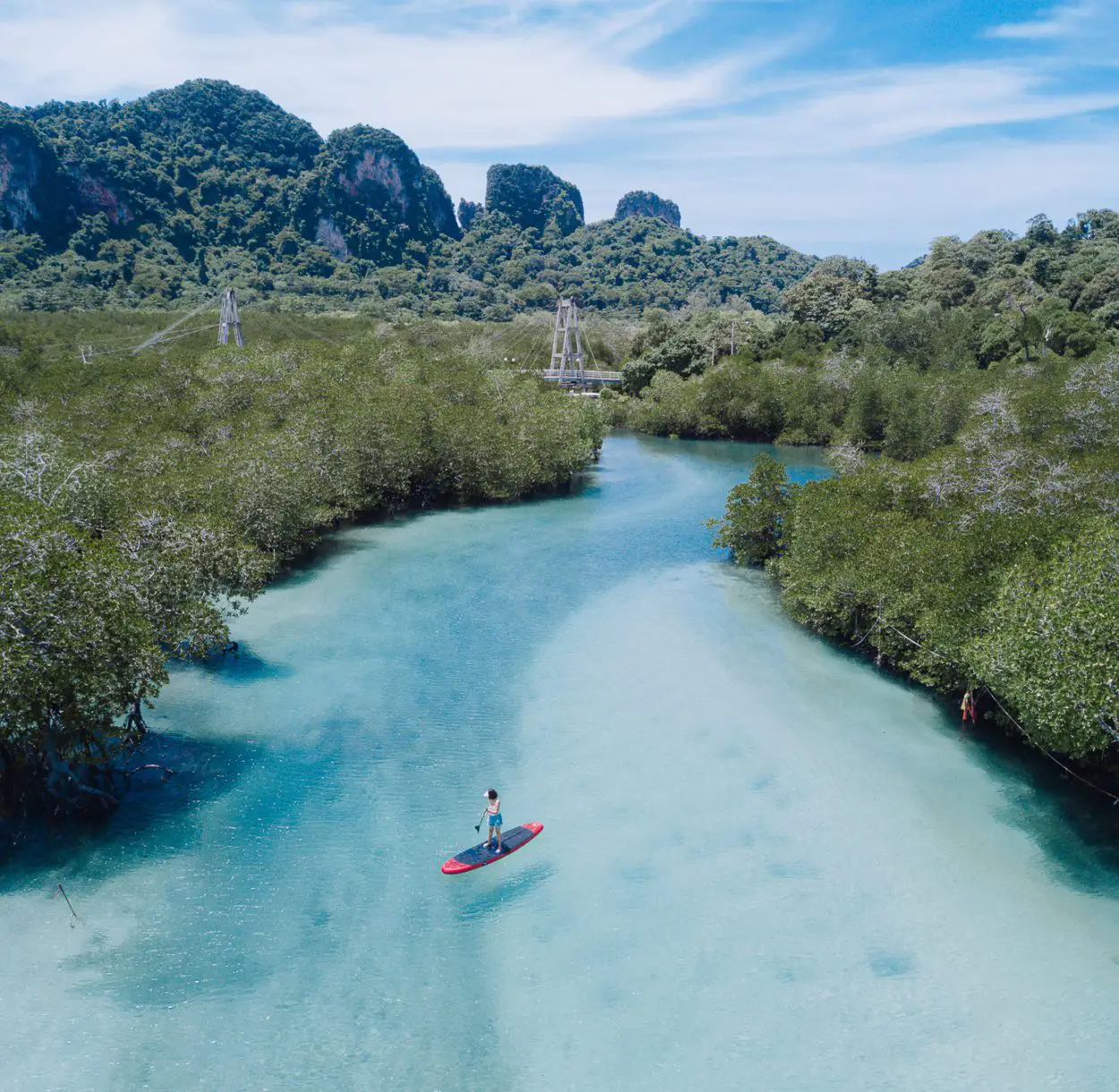 Mangroves
