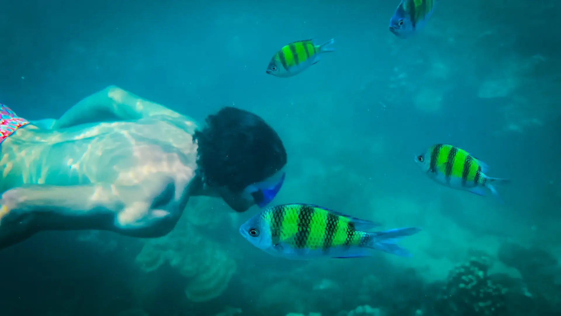 Snorkelling
