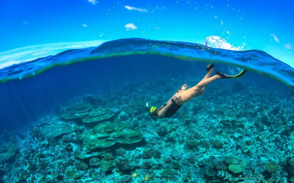 A Day Of Diving