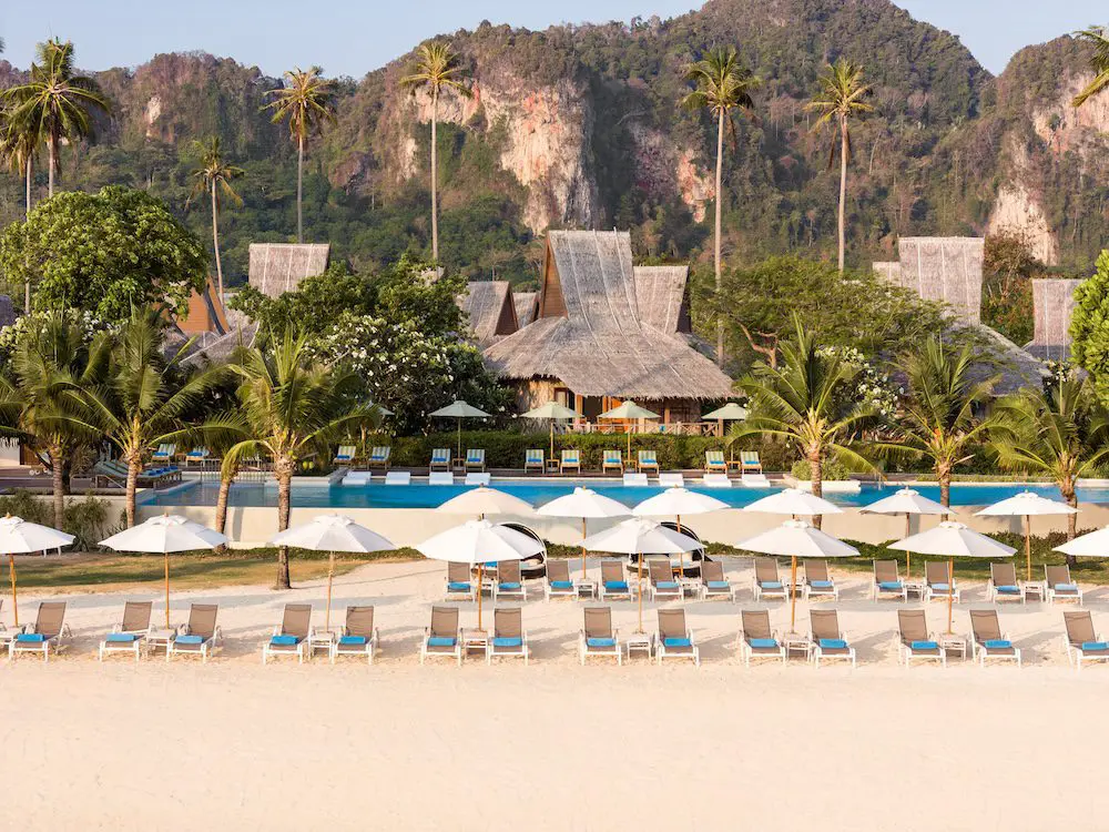 A Vital Mission: SAii Phi Phi Island Village Celebrates Global Shark Awareness Day with Preservation Milestone and a New Guest Experience